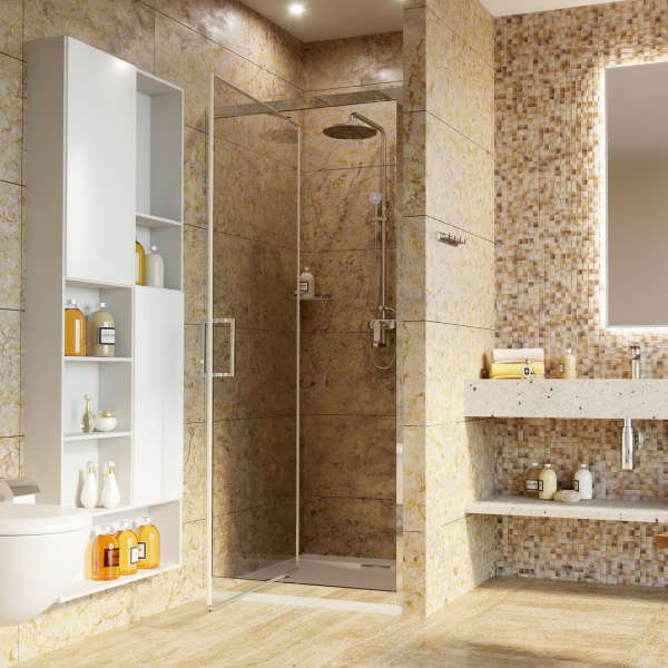 Душевая дверь (100х200) WasserKRAFT Salm 27I12